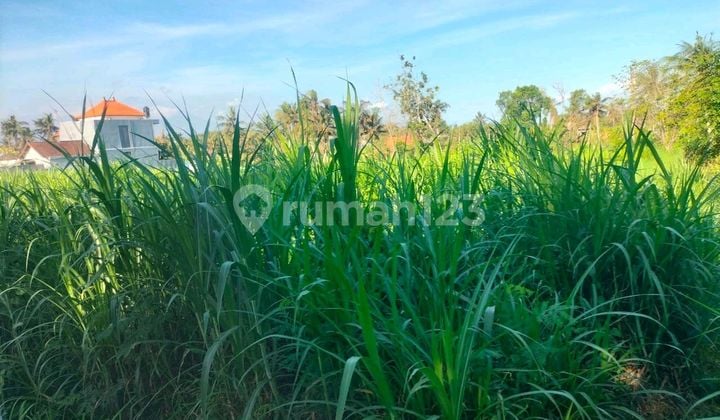 Tanah 2100 M² Dekat Bypass Hadap Selatan