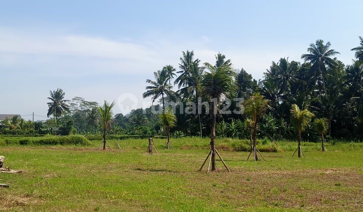Tanah Datar 3600 M² Area Pejeng 15 Menit ke Ubud
