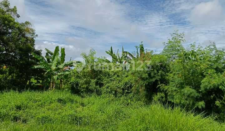 Prime Land 2,343 Hectares in Denpasar Gilimanuk Area