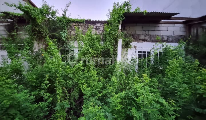 Dijual Tanah Di Pluit Putra 200 Shm