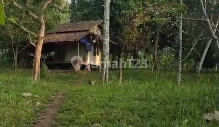 Nego Tanah dekat Pusat alun alun kota Pandeglang di Kadu Lisung Pandeglang