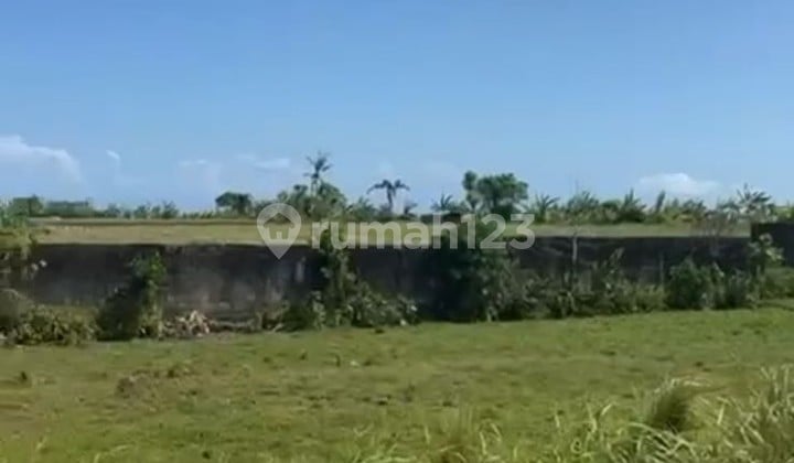 Jual Cepat Tanah sudah SHM di Kedungu Bali