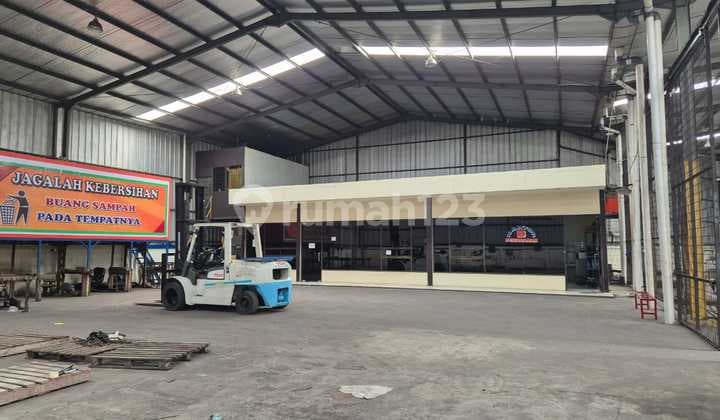 BU Nego Gudang Bagus, Luas Siap Pakai di Cileungsi Jonggol Bogor