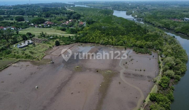 2 Bidang Tanah Luas Desa Perancak Bali