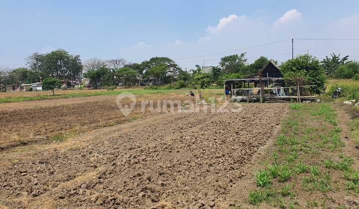 Jual Cepat Lahan Siap Bangun Di Babelan Bekasi 2jt /m²