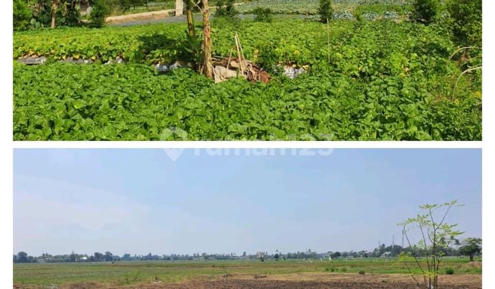 Land for Sale with Mountain View, Ready to Build, SHM Certificate, Location in Ciherang.