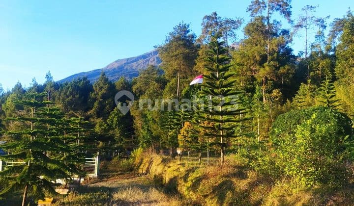 Tanah Cocok Untuk Wisata Strategis Di Batur Getasan Kab Semarang