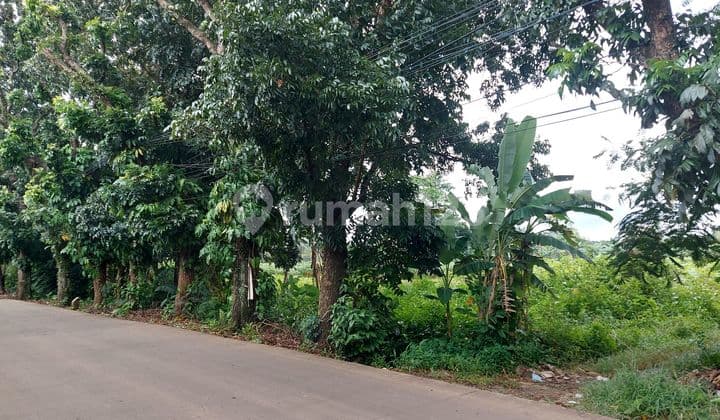 Tanah Kosong Kontur Datar Pinggir Jalan Bomang Bojong Gede Bogor