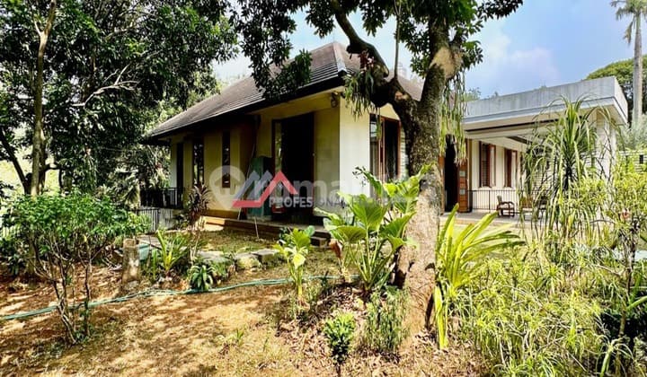 Rumah Halaman Luas Lokasi Strategis Dekat Toll Andara Cilandak