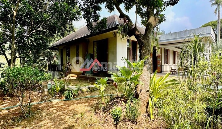 Rumah Halaman Luas Lokasi Strategis Dekat Toll Andara Cilandak