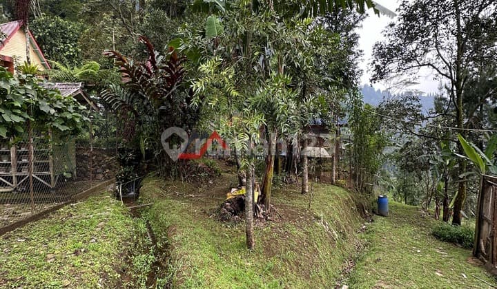 Vacant Land Large Yard Mountain View and Cool Air Cilember.