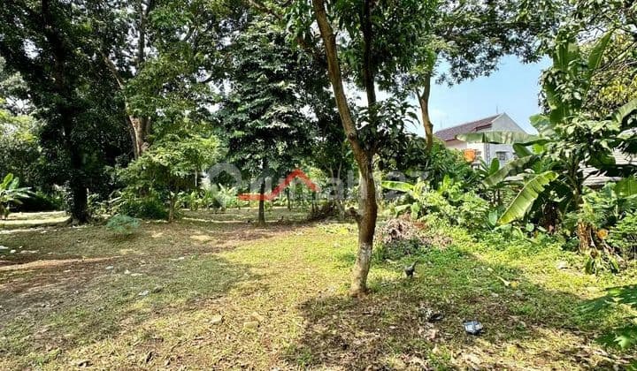 Tanah kosong sangat cocok untuk perumahan