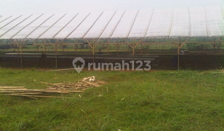 Dijual Kavling Di Bogor Luas 3.3 Hektar Hanya 500 Ribu Per Meter, Jarang Ada