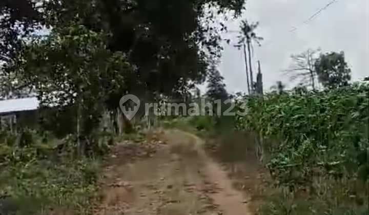 Kavling di Lampung Hampir 7 Hektar Fasilitas Ok