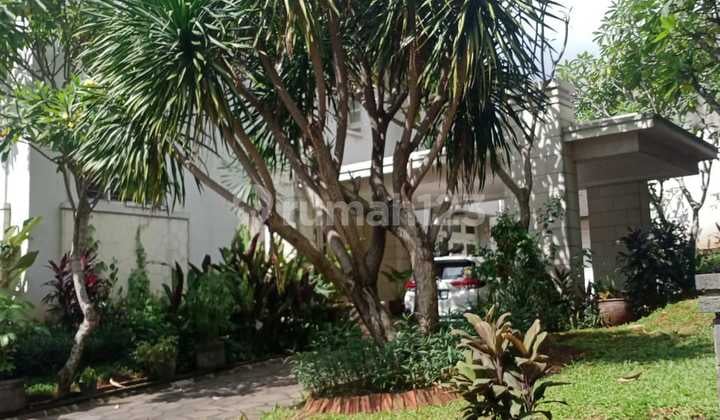 Luxury House in the Best Area of Bintaro Sector 8, Plus S, Poll.