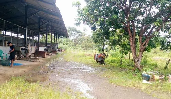 Cheap....Cheap....Industrial Warehouse in Curug Tangerang Area