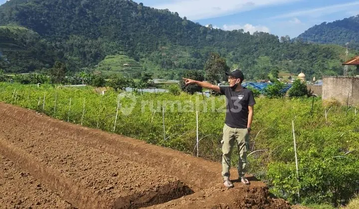 Dijual Murah Tanah Jl.Raya Puncak Ciherang Cipanas CIanjur Di Sisi Kiri Jalan Raya Cipanas