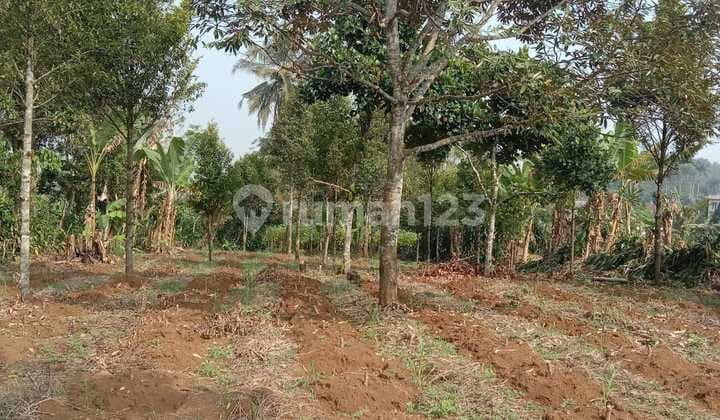 Productive Land with SHM Certificate, Near Toll Access, in Parung Kuda Sukabumi