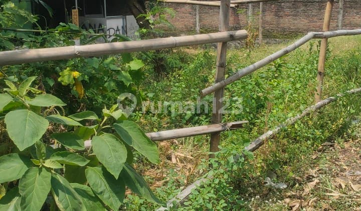 Tanah Murah Strategis di Plesungan Dekat Ring Road