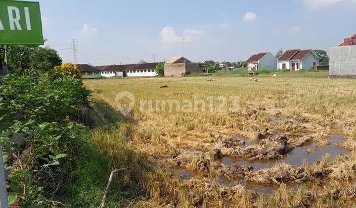 Tanah Murah Untuk Perumahan Prospektif Solo Baru