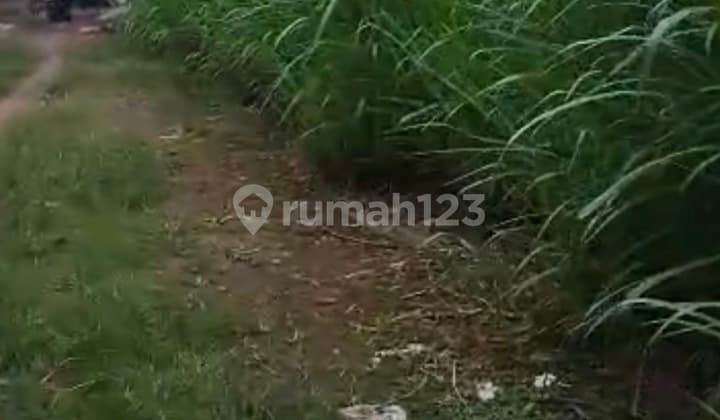 Dijual Tanah Nol Jalan Provinsi Lokasi Ambulu Jember