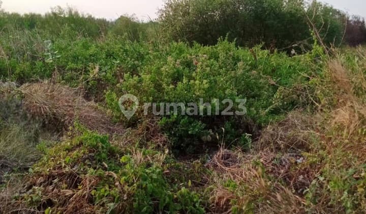 Dijual Tanah MURAH Siap Bangun Lokasi Gununganyar Rencana jalan OERR UPN