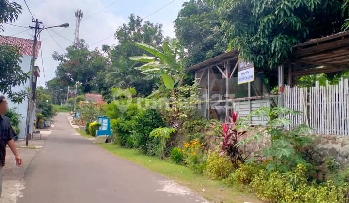 Tanah Jalan Sybromalisi Citangkil Bebas Banjir