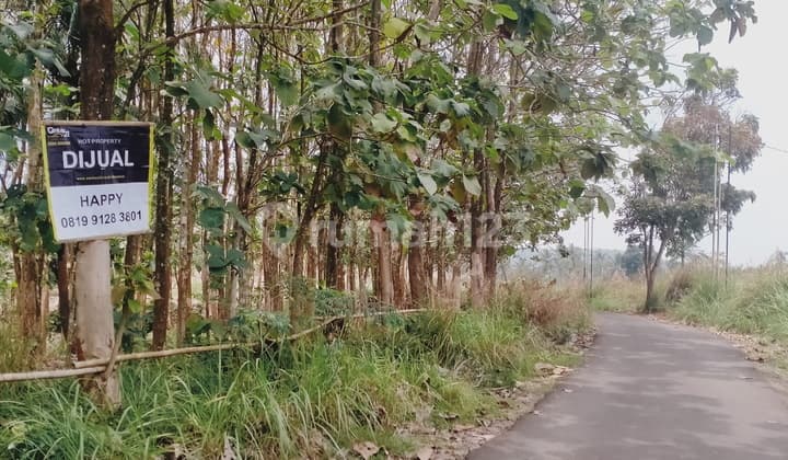 Lahan Lingkar Selatan Bonus Pohon Jati Akses Mobil