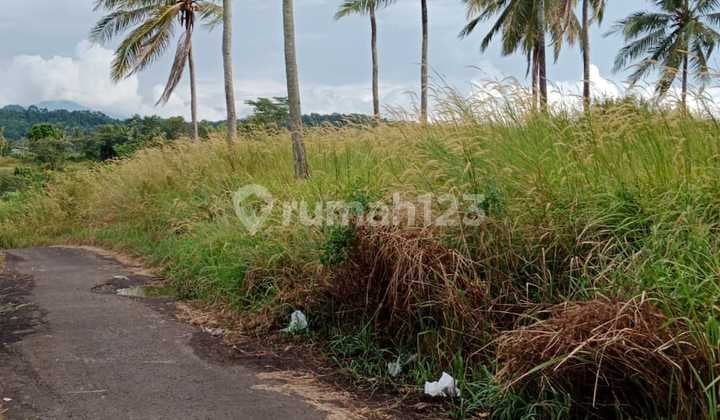 Bulakan Cibeber Land is Suitable for a Tourist Spot.