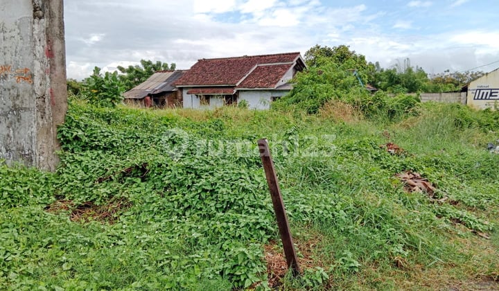 Tanah Bojonegara 1,8 Hektar Strategis Nempel Jalan Utama