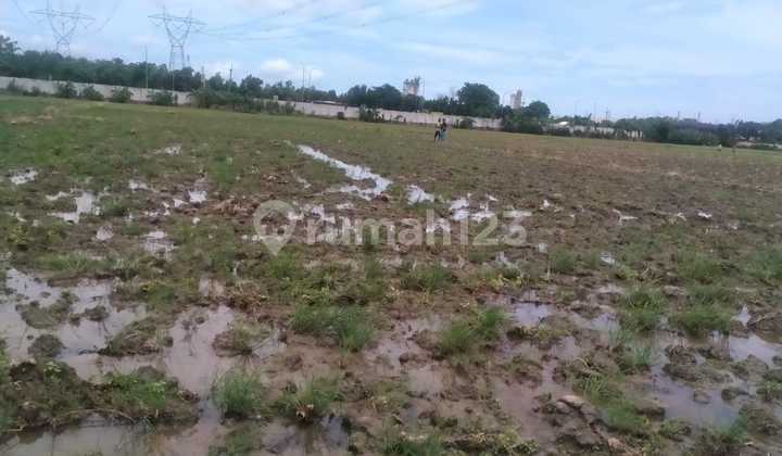 Tanah Sawah Strategis Dekat Exit Tol Cilegon Timur