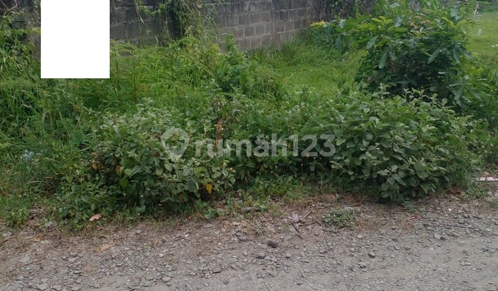 Tanah Jalan Gempol Kramatwatu Nego Sampai Deal