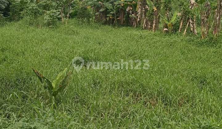 Tanah Luas dan Strategis di Beji, Depok