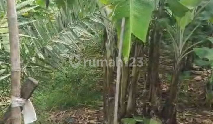 Kavling Siap Bangun Kavling Siap Bangun