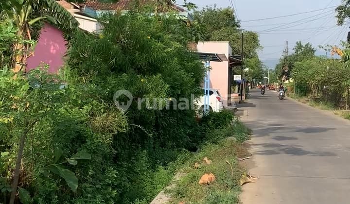 Tanah Pinggir Jalan Siap Bangun Trangkil Mojoagung