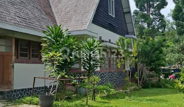 Rumah Heritage, Bagus untuk Usaha di Ciumbuleuit Bandung