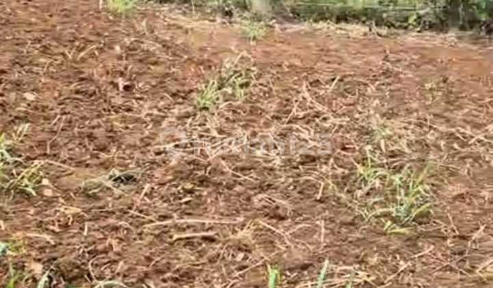 Tanah Pinggir Jalan di Rancakendal,Cigadung Bandung Cocokk Villa atau Rumah