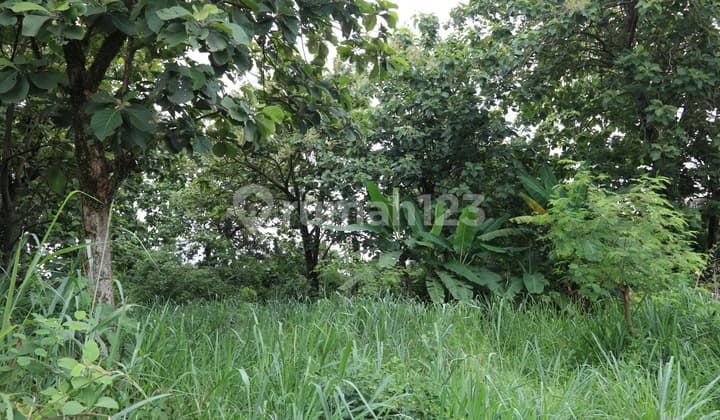 TANAH KOMERSIL STRATEGIS DI GUNUNG SINDUR BOGOR, DEKAT SAWANGAN DEPOK