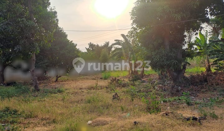 TANAH KAVLING KARANG TENGAH, DEKAT GREEN LAKE CITY, METLAND PURI, TANJUNG DUREN, COCOK UTK PADEL