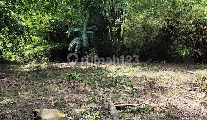 Land for Sale in Cisoka Near Grand Cisoka Residence Housing Estate
