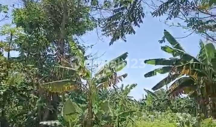 Dijual Tanah di Depan Bukit Dago Pinggir Jalan