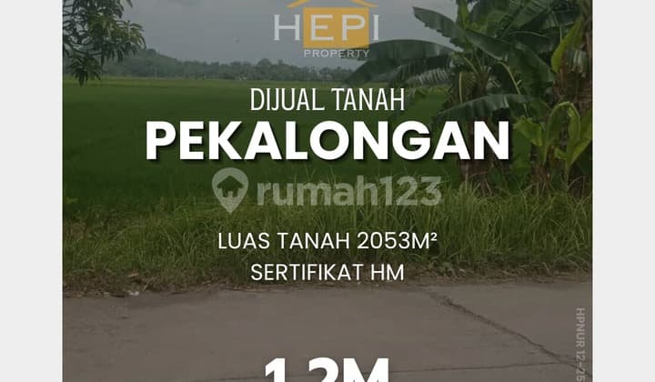 Tanah di Jalan Raya Sragi-Kesesi Pekalongan Jawa Tengah