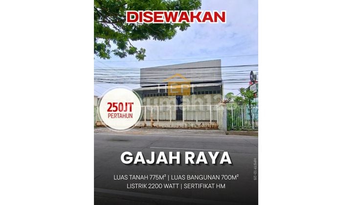 Ruko Tegnah Kota di Gajah Raya Semarang Timur Ruko Tegnah Kota di Gajah Raya Semarang Timur