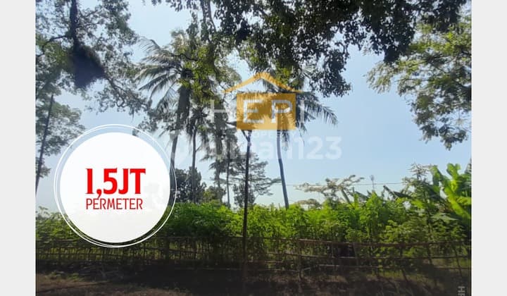 Tanah Luas Lokasi Strategis di Palir Mijen Semarang Barat