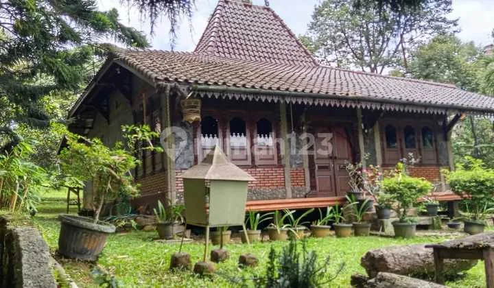 Dijual Rumah Joglo di Daerah Summarecon Bogor