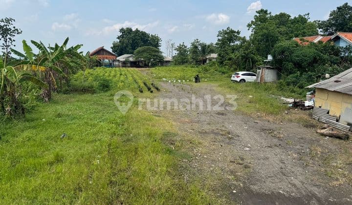Land Parcel on Subang Cikamurang Main Road, Sanca Village, Gantar, Indramayu
