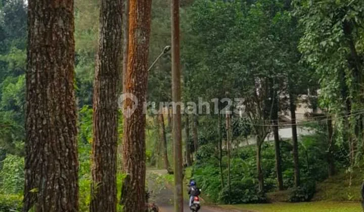Tanah Untuk Villa di Mega Mendung Bogor, Siap Bangun Tanah Untuk Villa di Mega Mendung Bogor, Siap Bangun