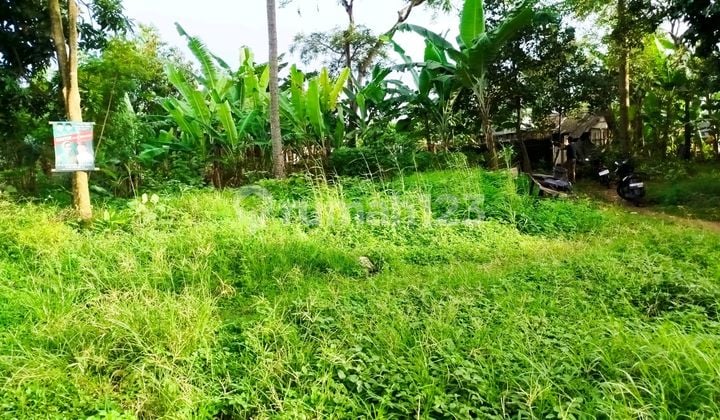 Kavling Siap Bangun Tanpa Nguruk Tangerang Selatan