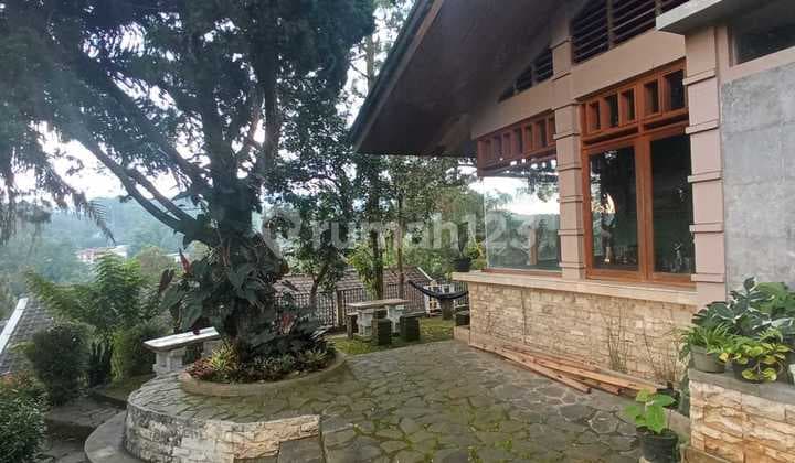 House Suitable for Business, Guest House or Cafe in Dago Bandung