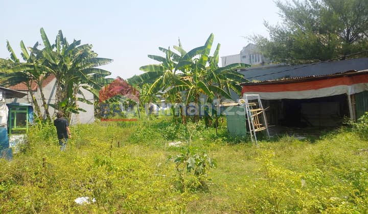 Tanah Lokasi Strategis Kawasan Bunga Coklat Dekat Kampus Ub, Rumah Sakit Galeri Candra